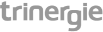 Logo Trinergie agence wb et brading à Gatineau